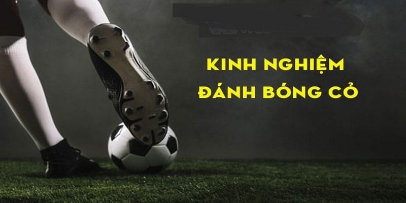Bóng cỏ là gì? Kinh nghiệm chơi kèo bóng cỏ hiệu quả 5 bong-co-la-gi-kinh-nghiem
