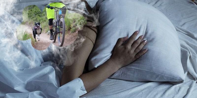 Giải mã giấc mơ thấy chó là điềm báo gì? Lành hay dữ chi tiết nhất 8 Mo-thay-cho-duoi