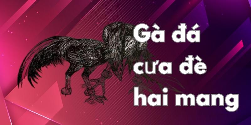 12 thế gà đá đòn độc, hiểm kết liễu đối thủ 7 Gà đá cưa đè hai mang vừa cưa đè vừa ra đòn khiến đối phương không thể chống trả